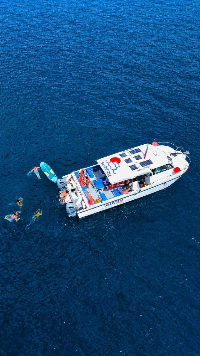 Shared Cruises - Photo 3