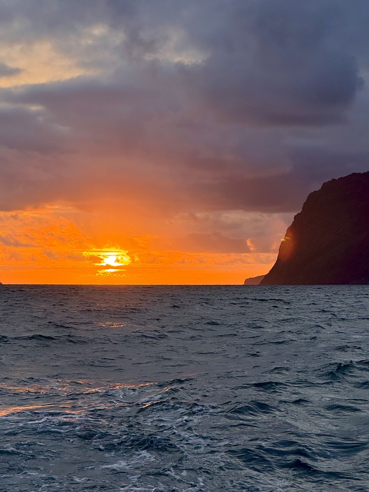Shared Sunset South Coast Catamaran Cruise with Open Bar & Snacks