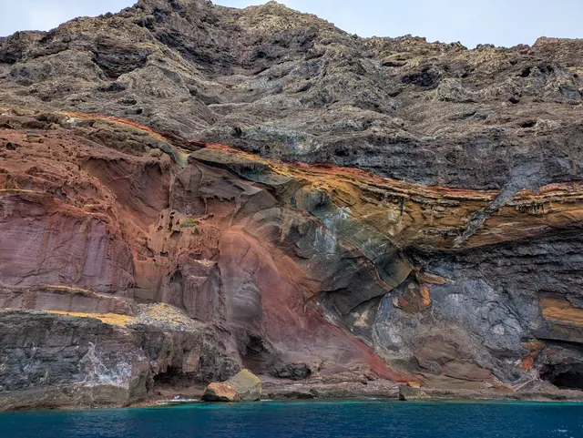 Desertas Islands: Wildlife Sanctuary - Photo 4